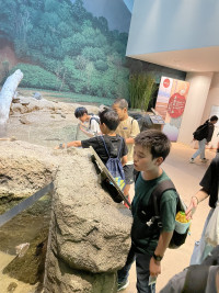 宮島水族館