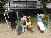 IMGP1386