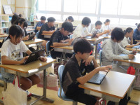 IMG_6454